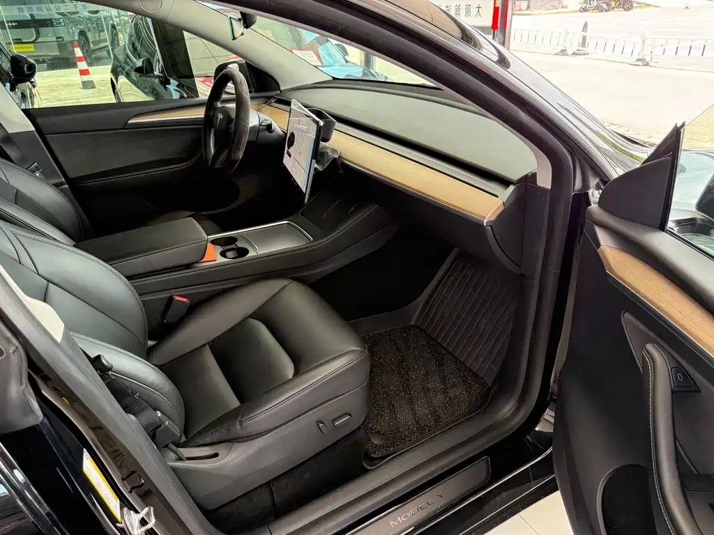 Tesla Model Y — миниатюра 11