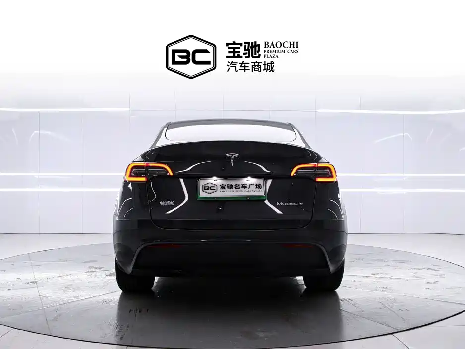 Tesla Model Y — миниатюра 4
