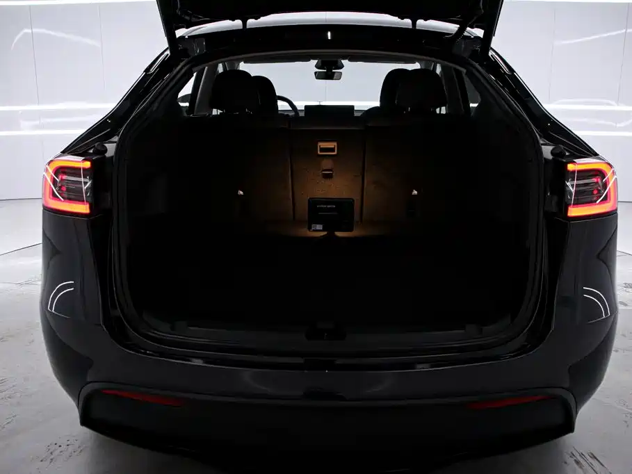 Tesla Model Y — миниатюра 15