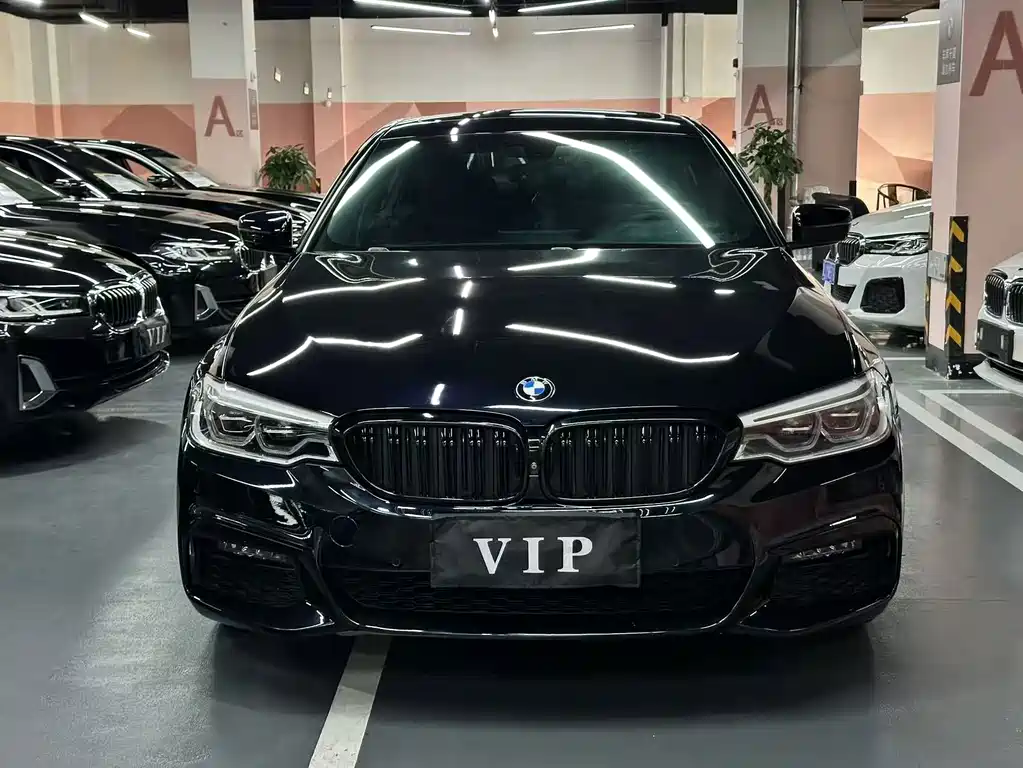BMW 5 Series — миниатюра 2