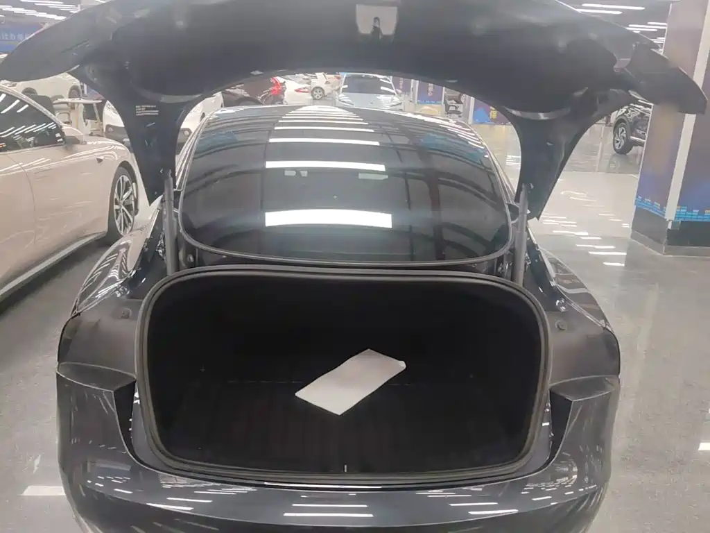 Tesla Model 3 — миниатюра 19