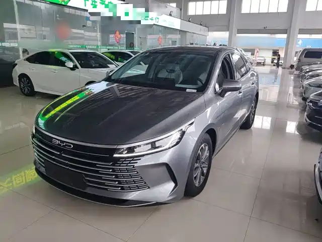 2024 BYD Destroyer