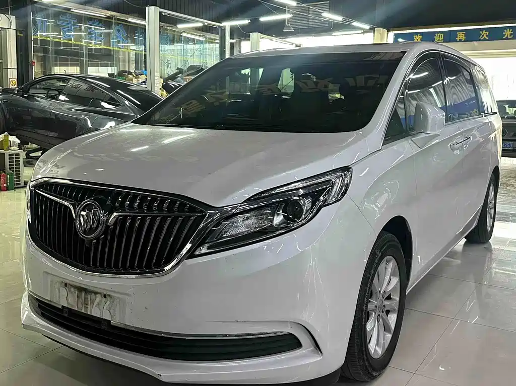Buick GL8 — миниатюра 6