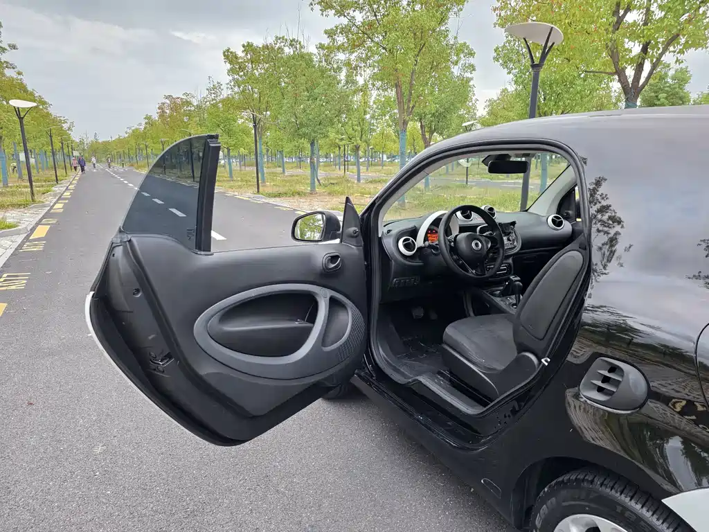 smart Smart Fortwo — миниатюра 15