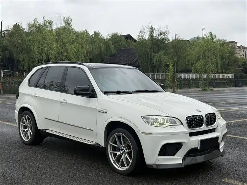 BMW X5 2010 X5 M