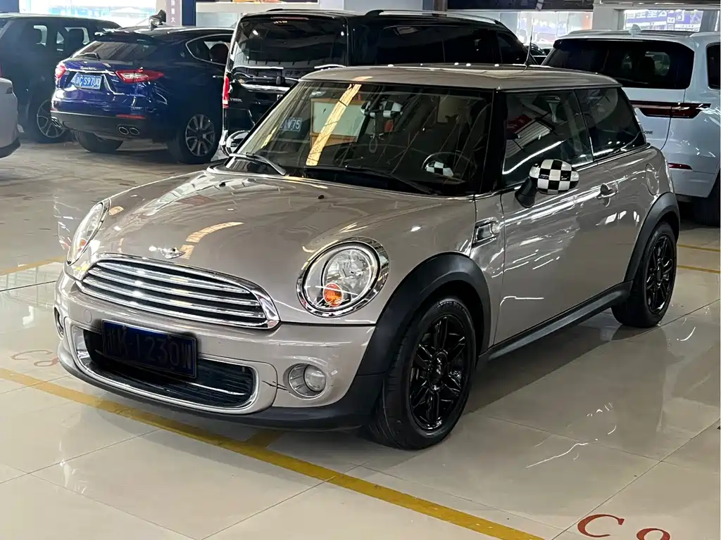 Mini Mini 2013