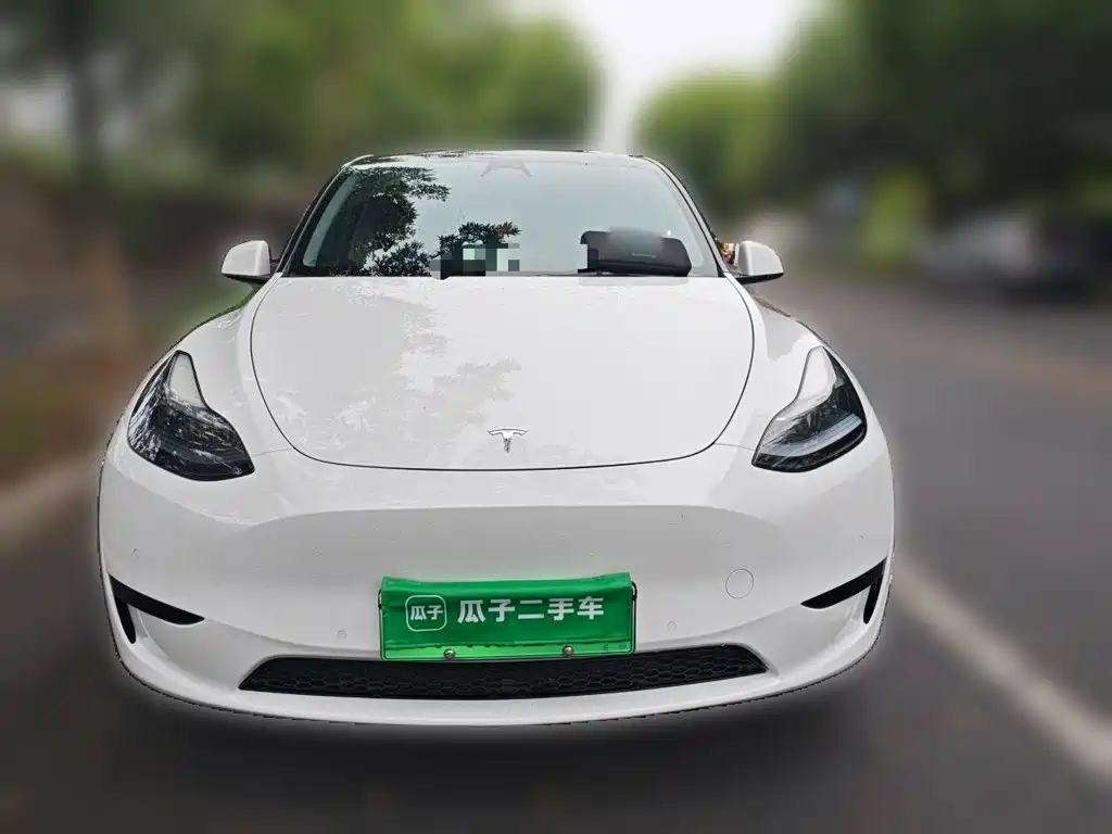 Tesla Model Y — миниатюра 2
