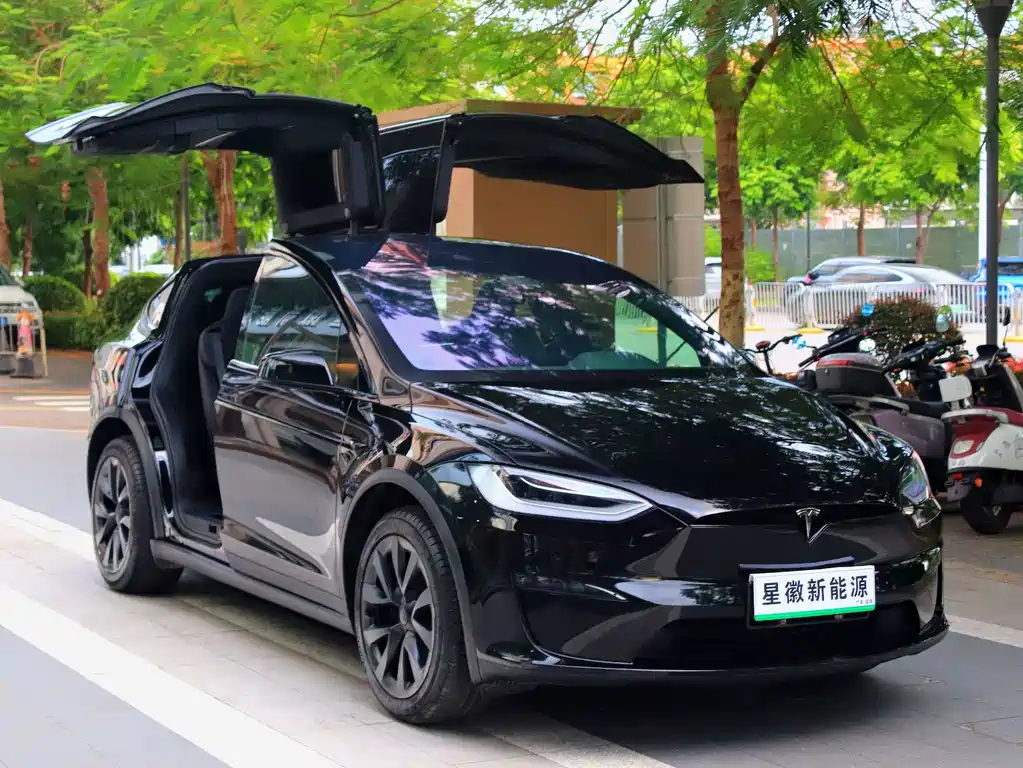 Tesla Model X — миниатюра 3
