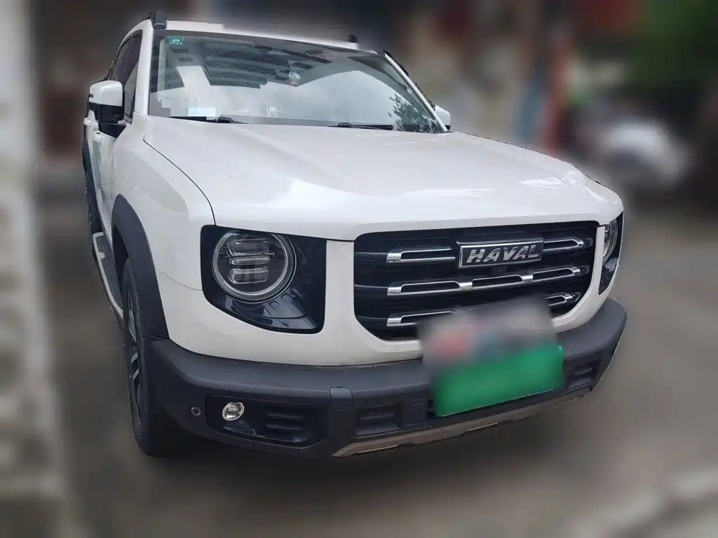 Haval 长城大狗 — миниатюра 24