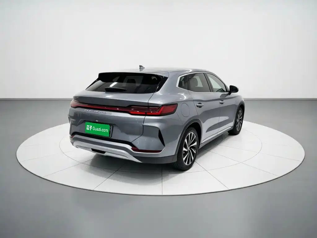BYD PLUS New Energy — миниатюра 6