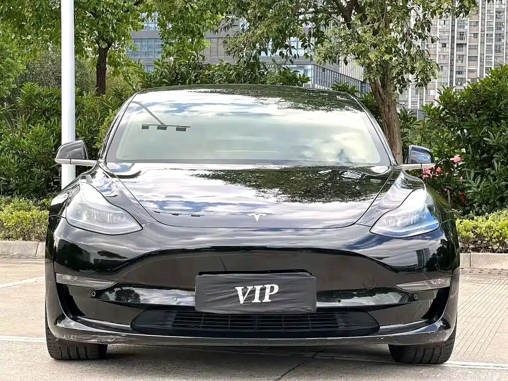 Tesla Model 3 — миниатюра 2