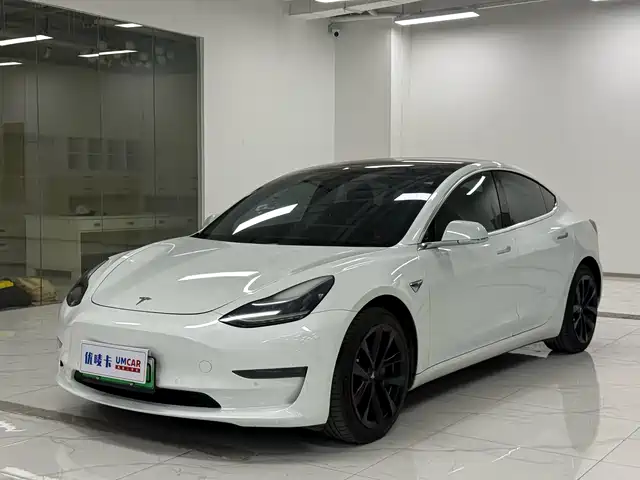 TESLA MODEL 3 2020