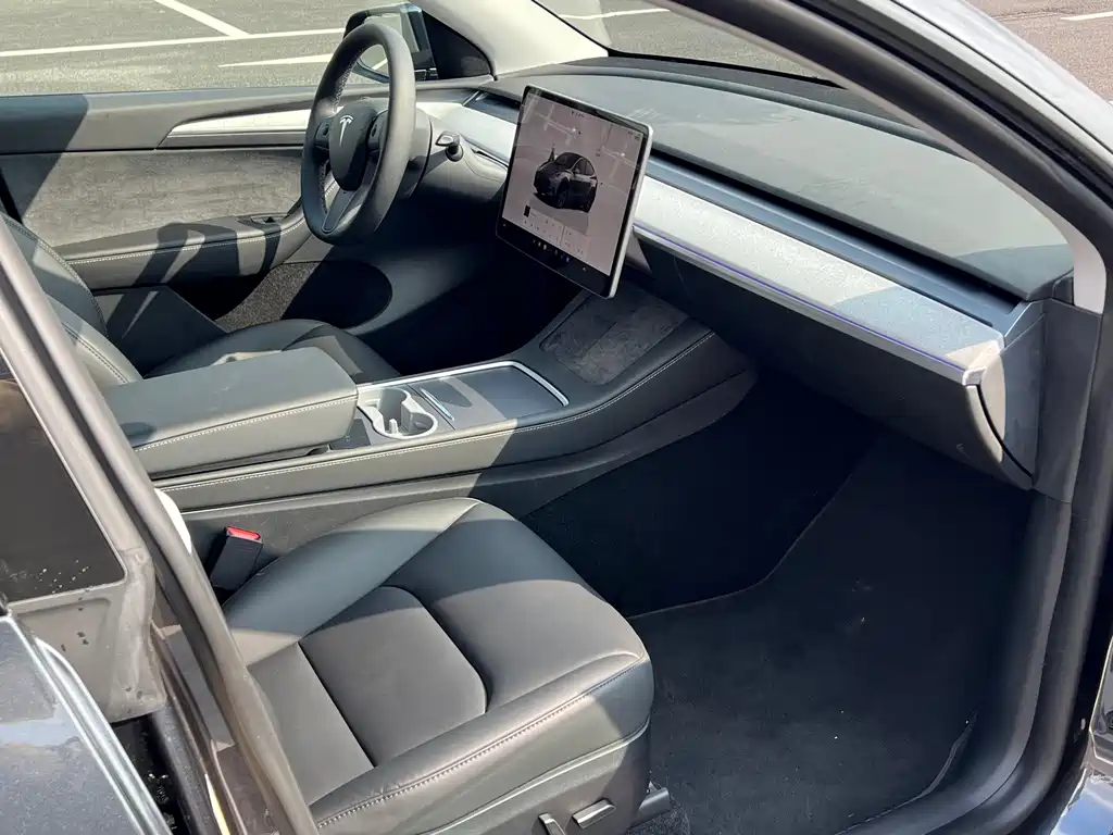 Tesla Model Y — миниатюра 5