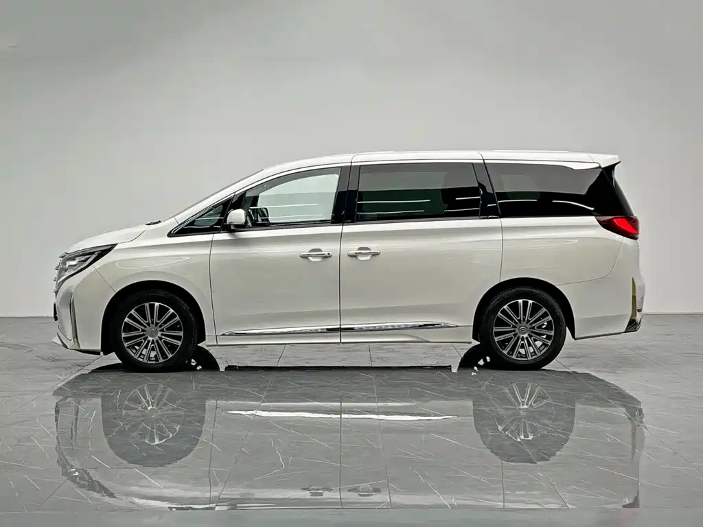 GAC Motor Trumpchi M8 — миниатюра 3