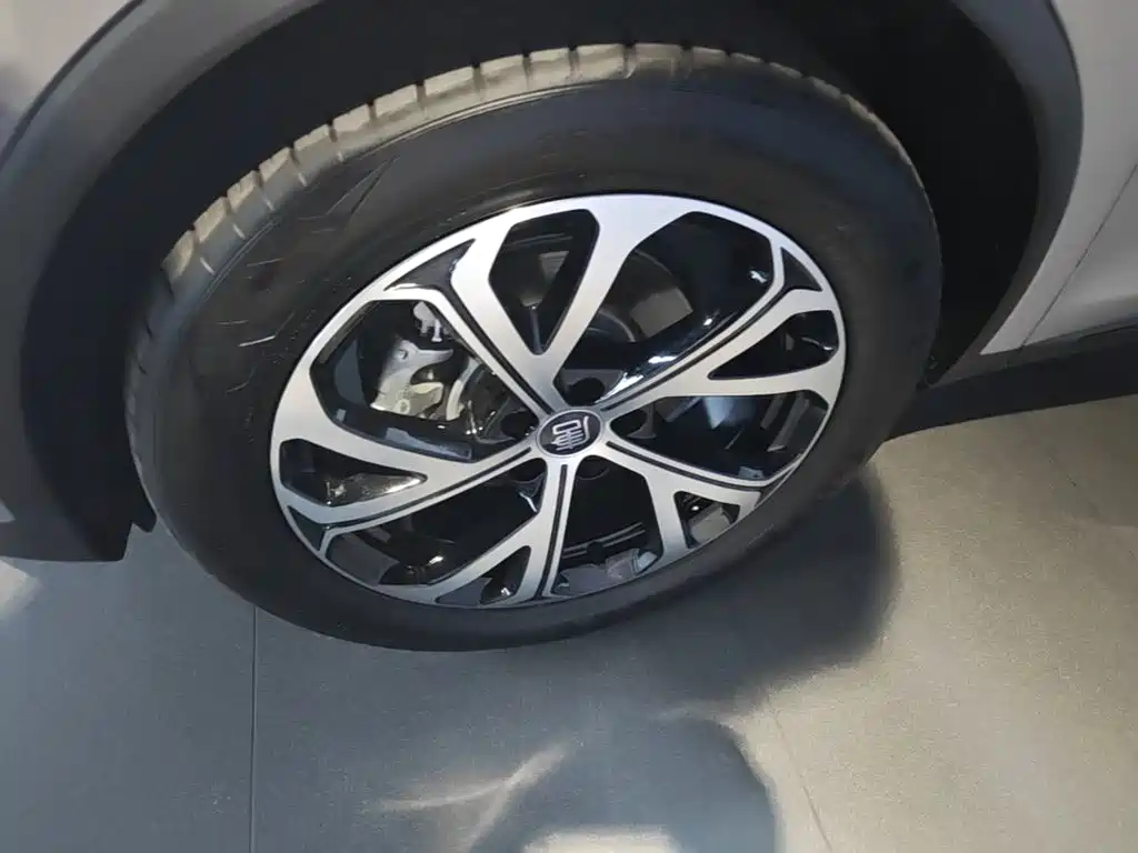 BYD Tang New Energy — миниатюра 23