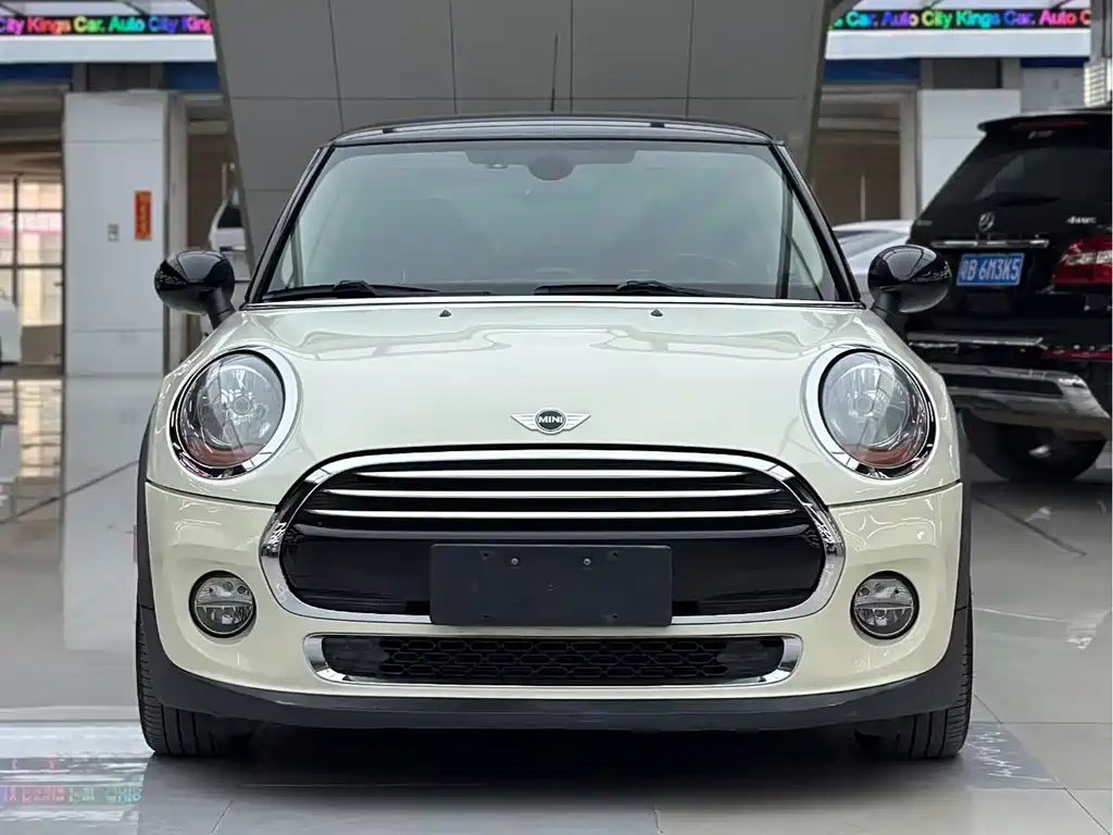 Mini Mini 2016