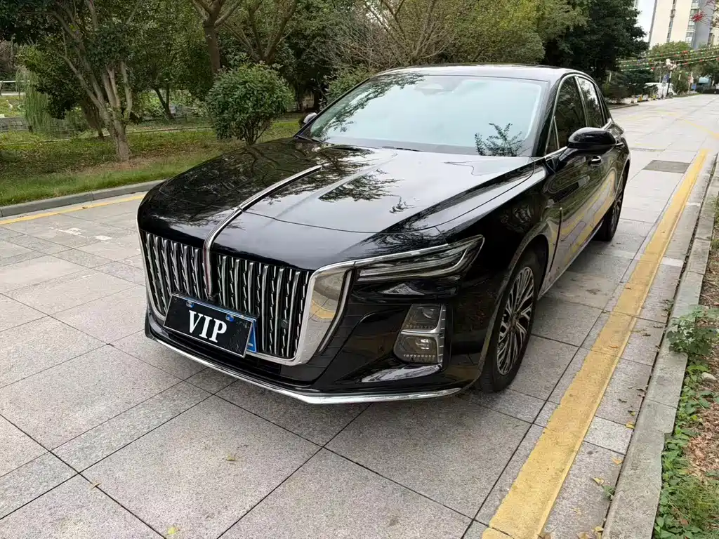 Hongqi Hongqi H5 — миниатюра 2