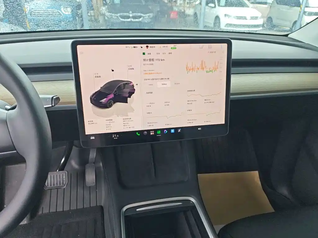 Tesla Model Y — миниатюра 13