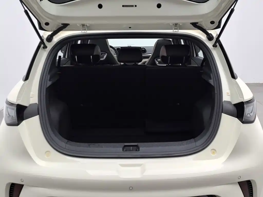 BYD Dolphin — миниатюра 16