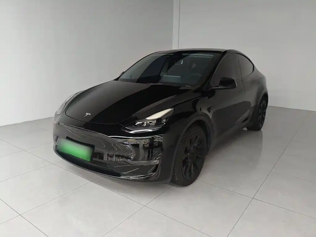 Tesla Model Y — миниатюра 2