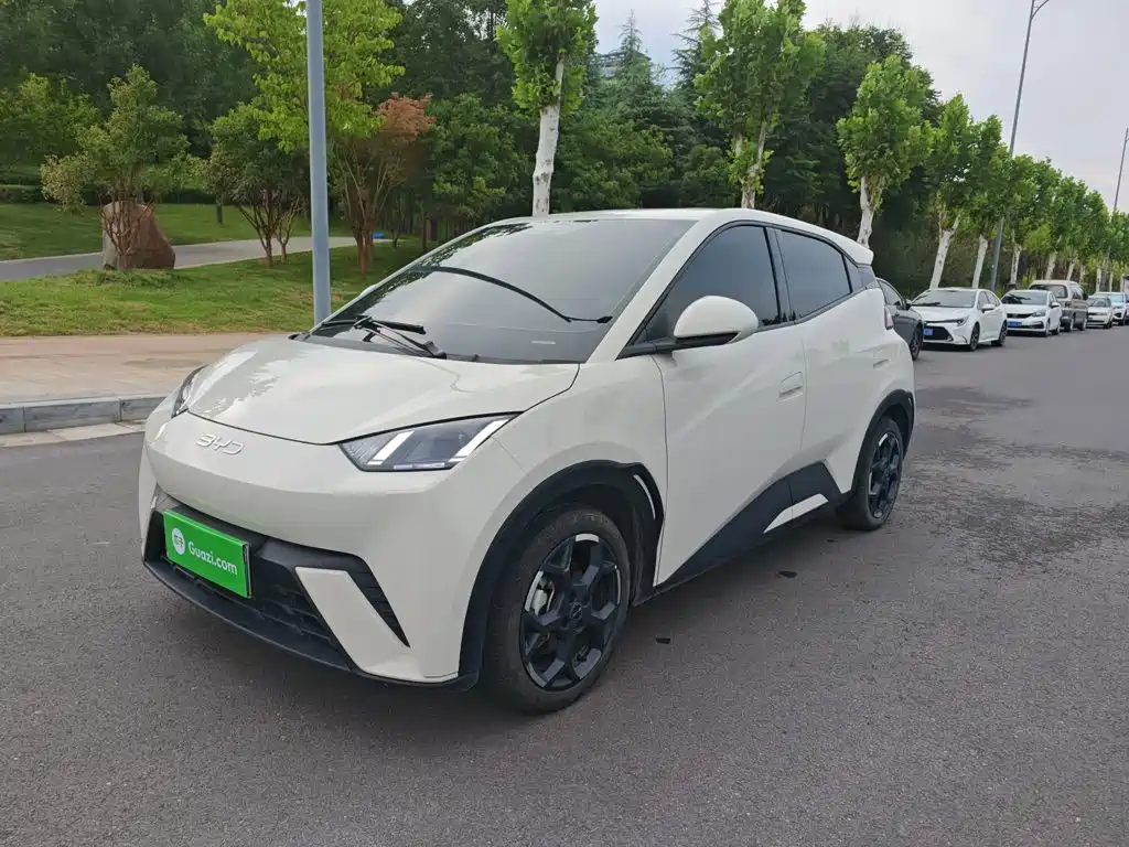 BYD Seagull — миниатюра 24