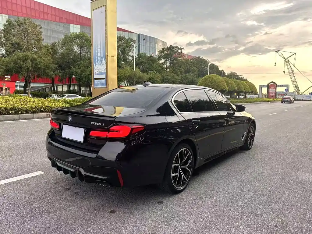 BMW 5 Series — миниатюра 5