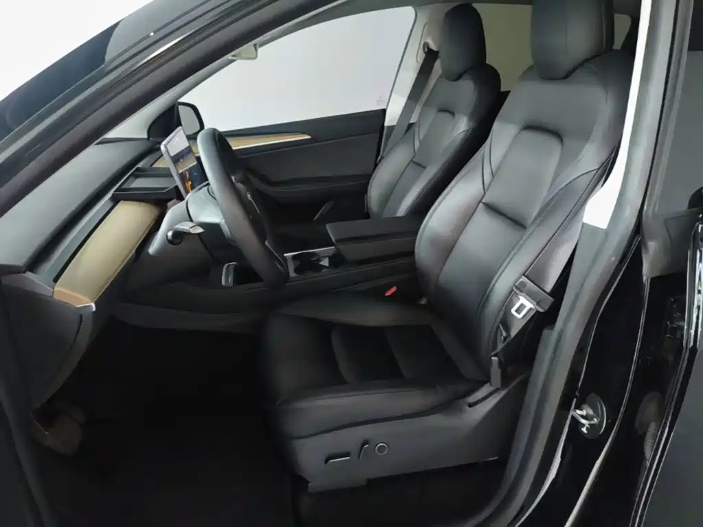 Tesla Model Y — миниатюра 15