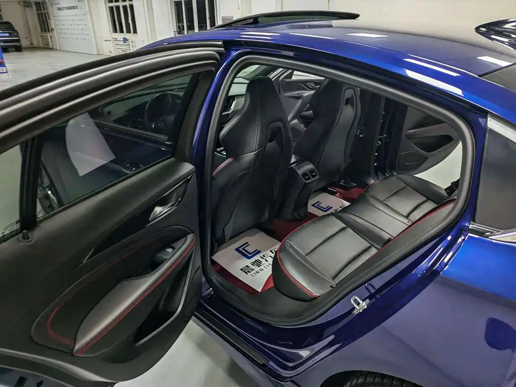 Buick Regal — миниатюра 12