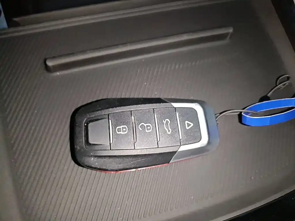 Leapmotor Leapmotor C11 — миниатюра 9