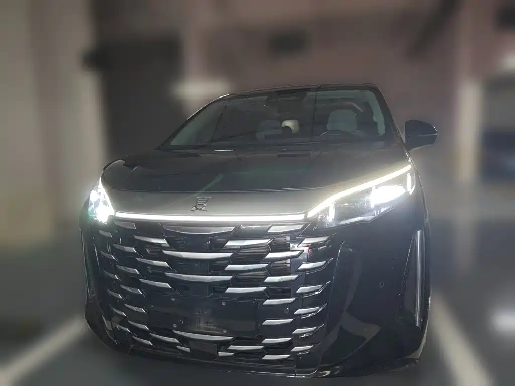 BYD Xia — миниатюра 2