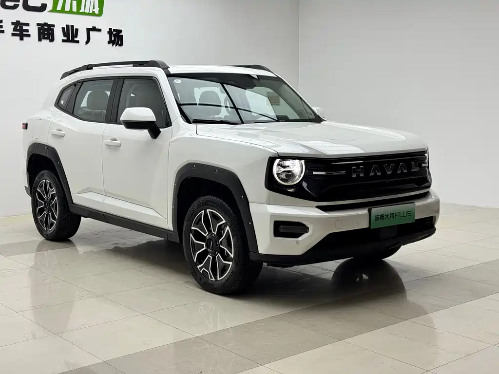 Haval Big Dog PLUS New Energy — миниатюра 3