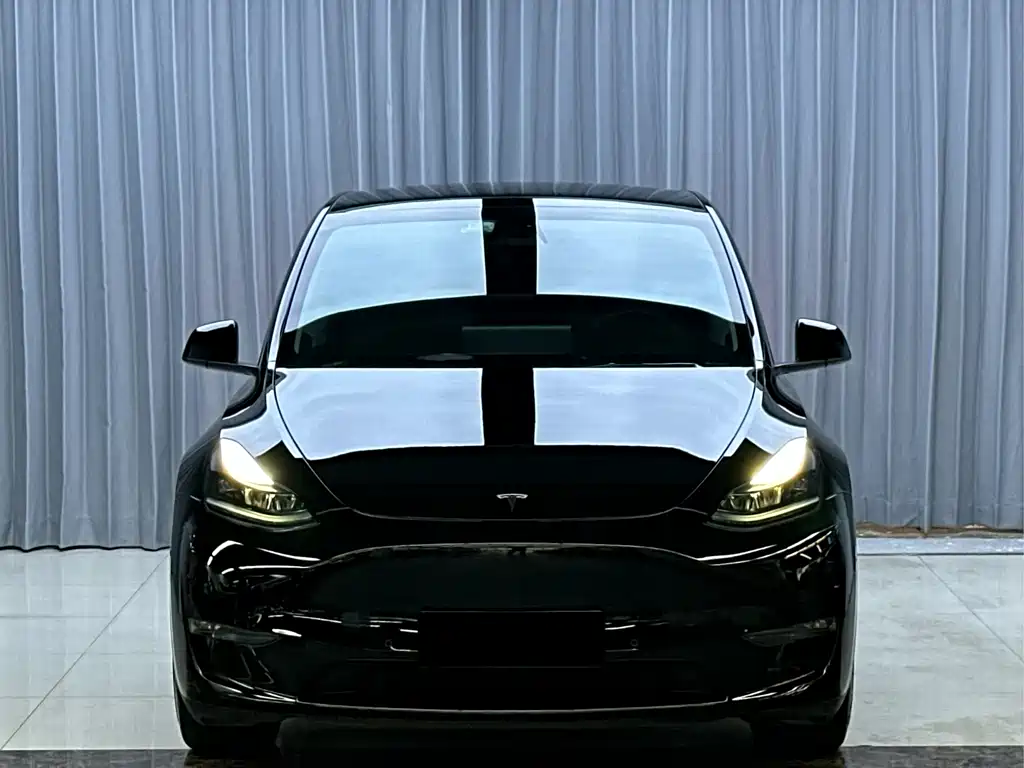 Tesla Model Y — миниатюра 2