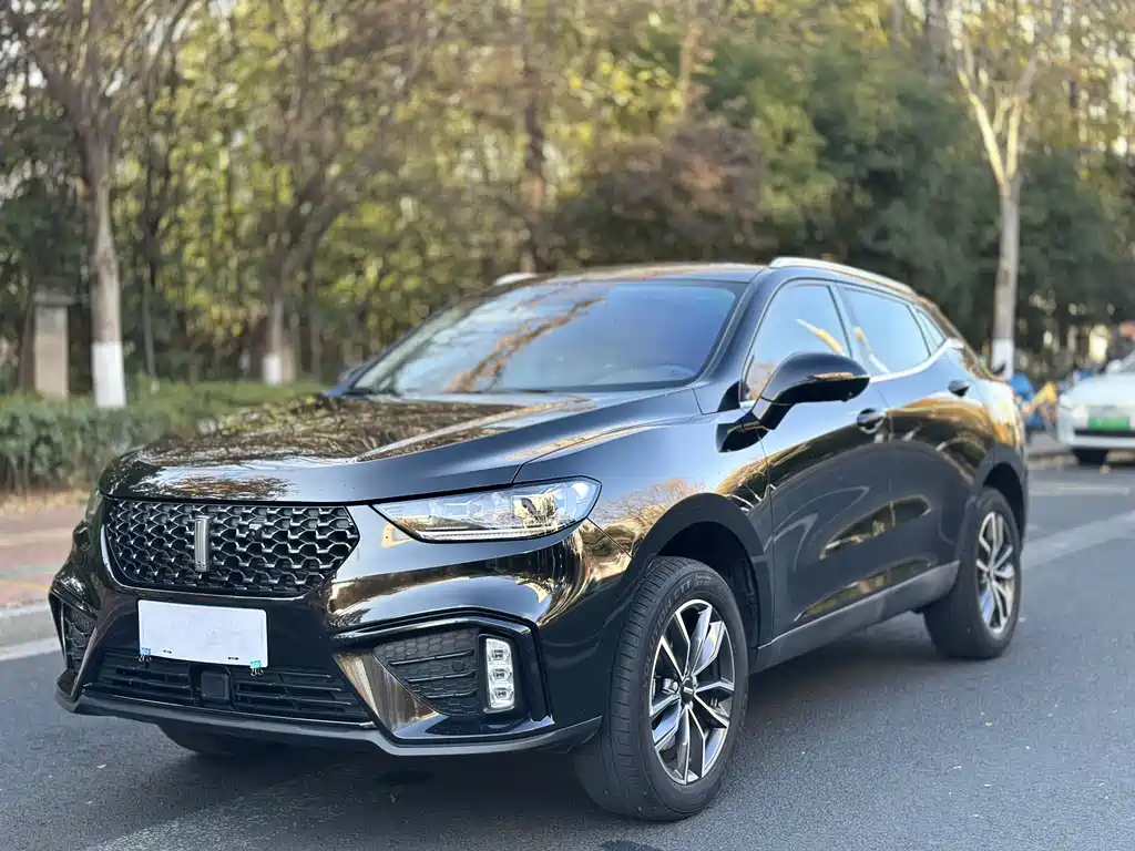 WEI PAI WEI BRAND VV5