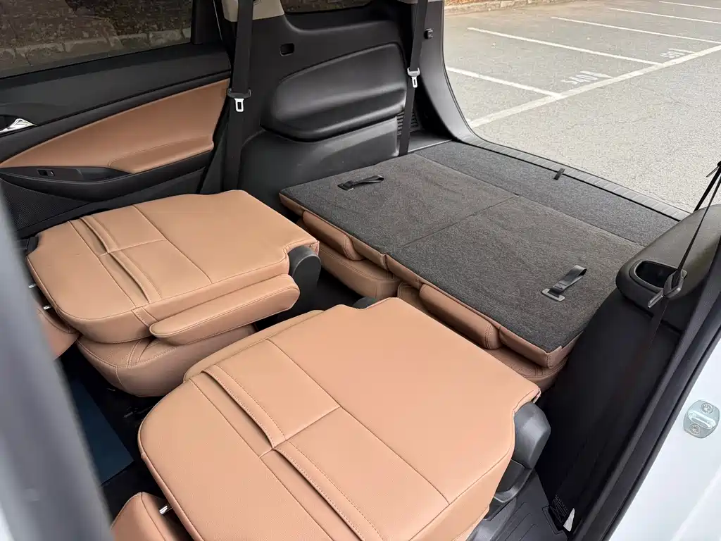 Buick GL6 — миниатюра 13