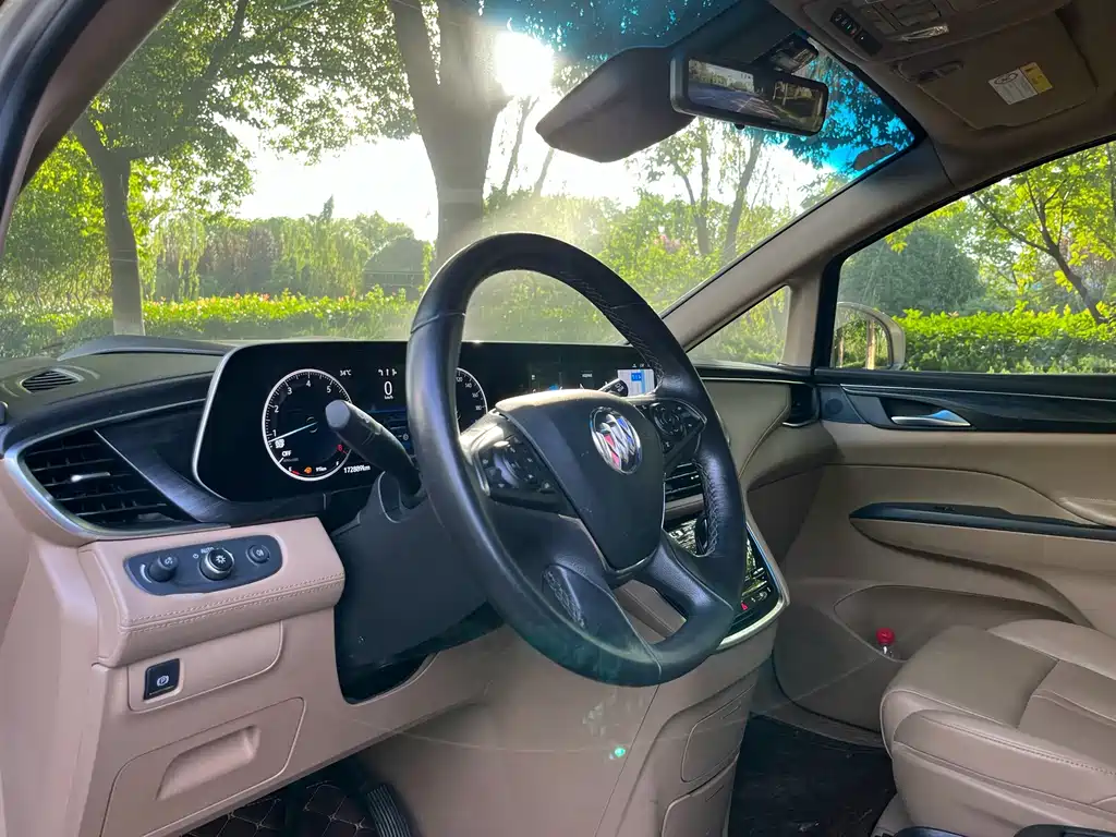 Buick GL8 — миниатюра 13