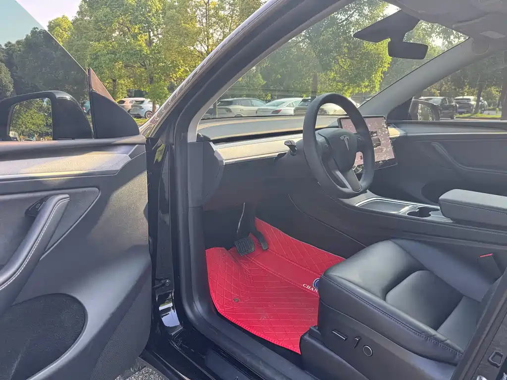 Tesla Model Y — миниатюра 9