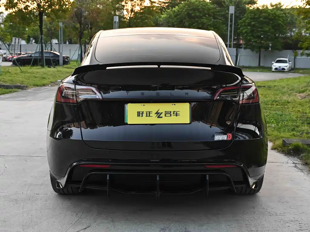 Tesla Model Y — миниатюра 5