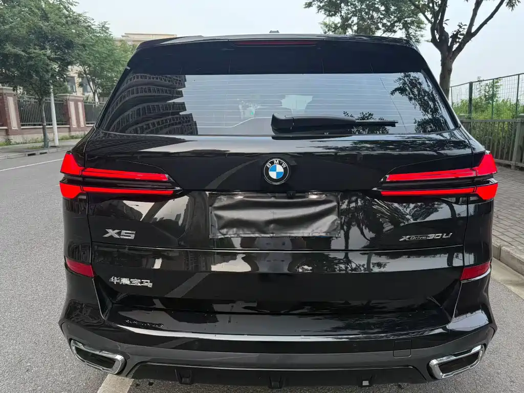 BMW X5 — миниатюра 8