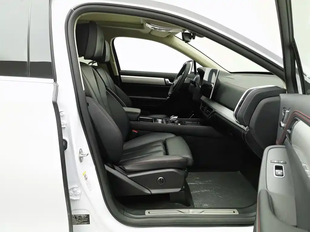 BYD Tang New Energy — миниатюра 23