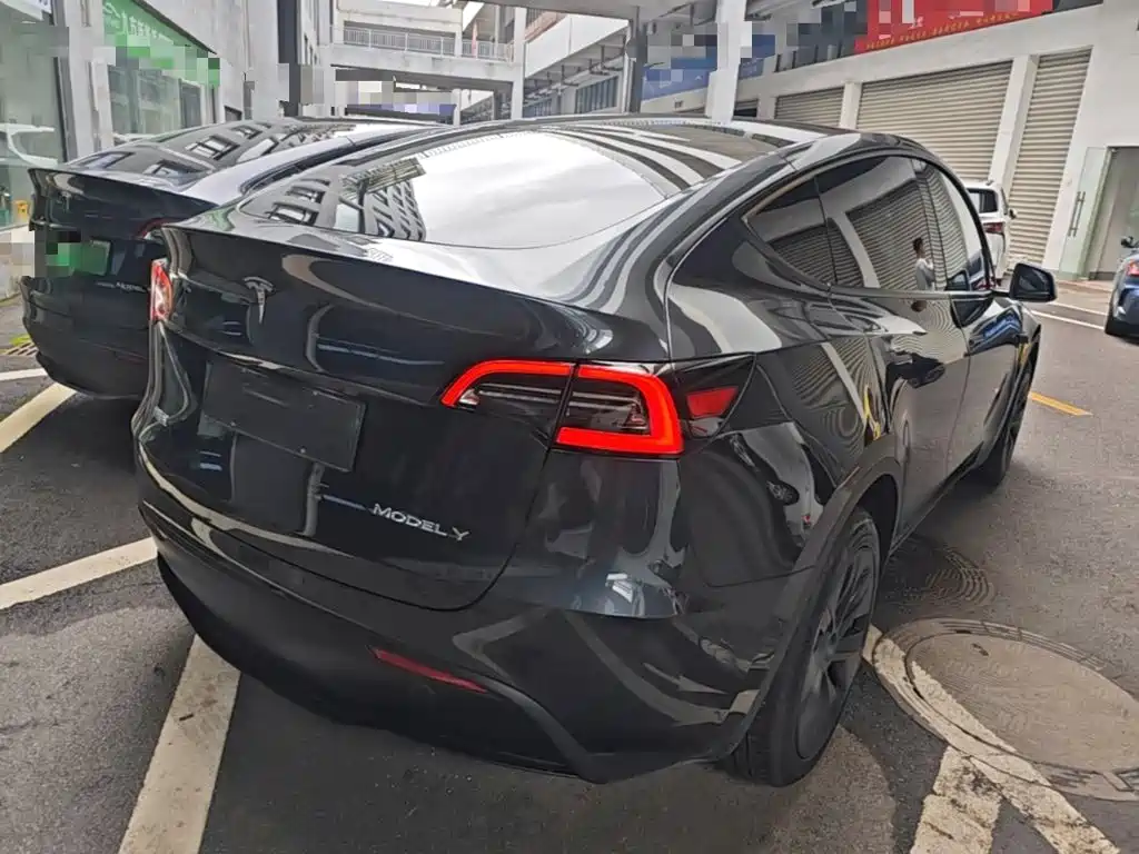 Tesla Model Y — миниатюра 7