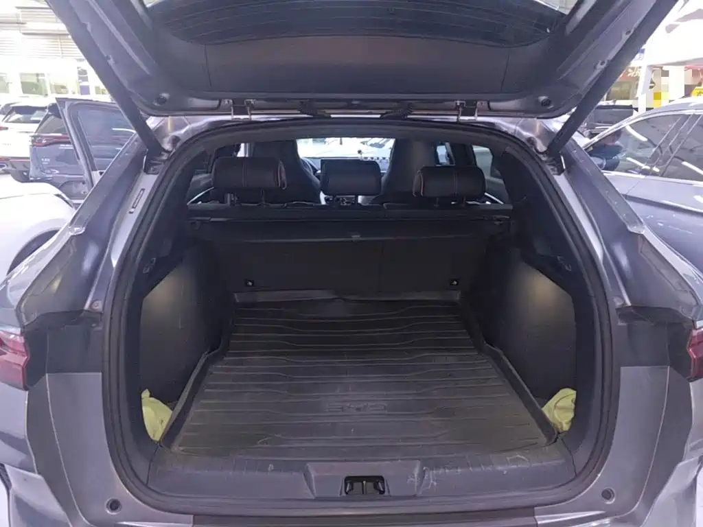 BYD PLUS New Energy — миниатюра 19