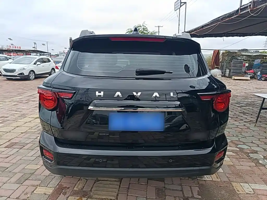 Haval Big Dog PLUS — миниатюра 6