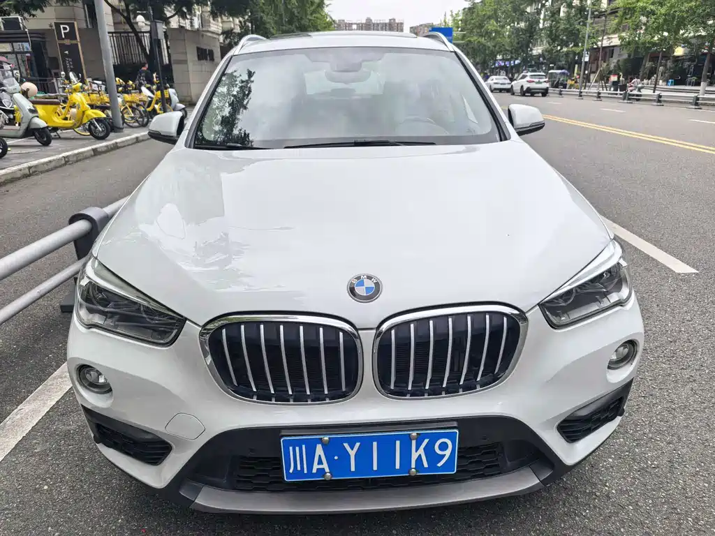 BMW X1 — миниатюра 2