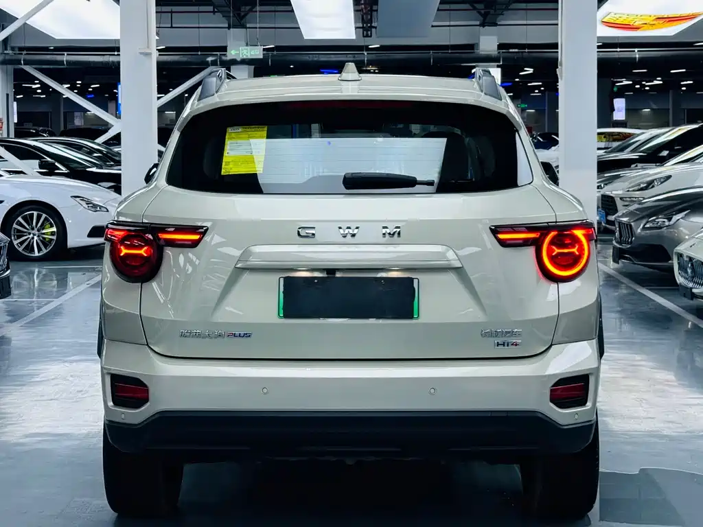 Haval Big Dog PLUS New Energy — миниатюра 14