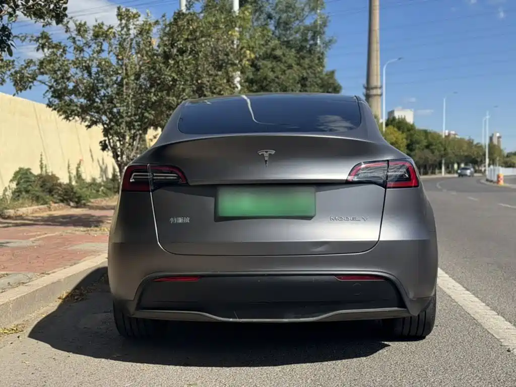 Tesla Model Y — миниатюра 6