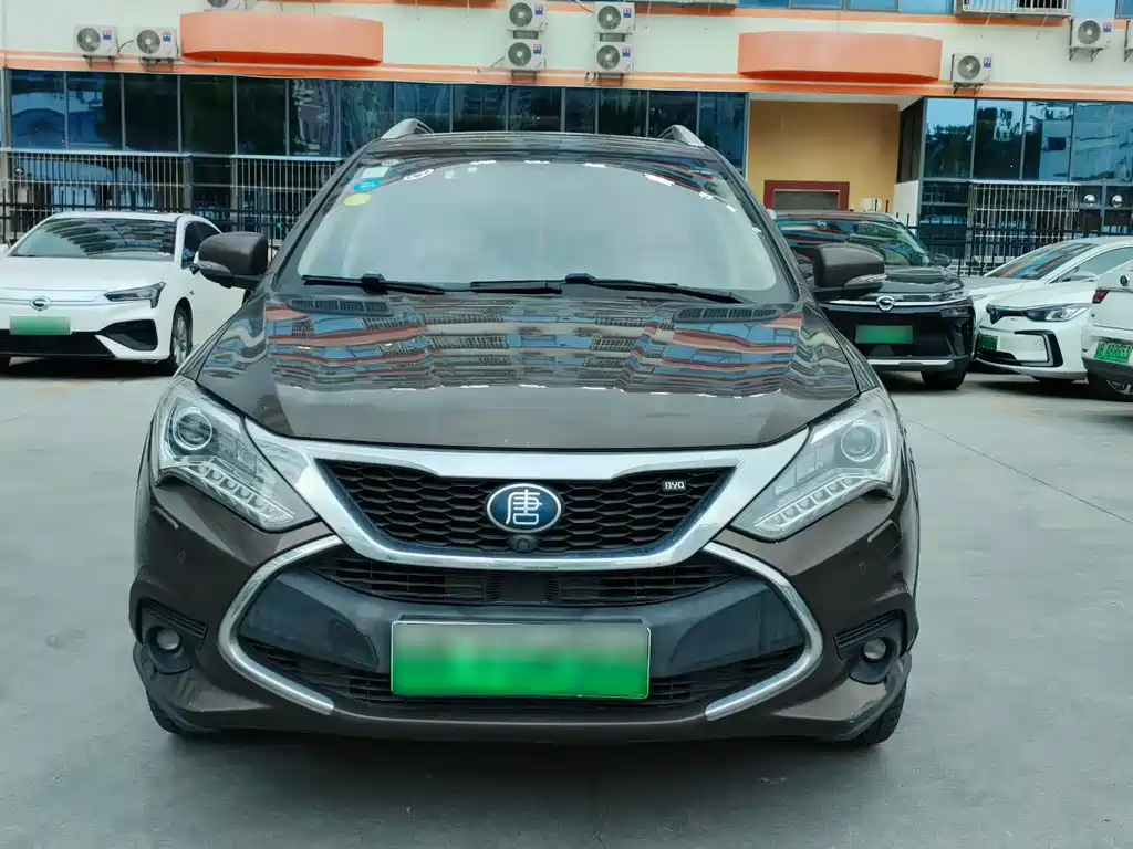 BYD Tang New Energy — миниатюра 2
