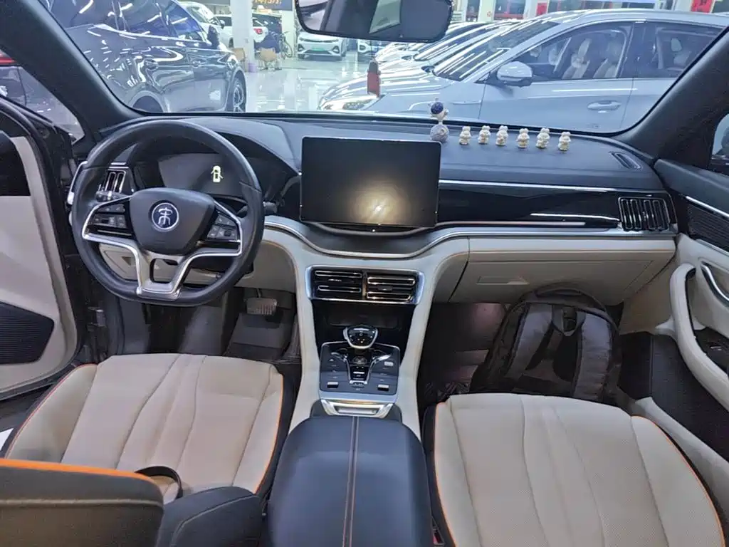 BYD PLUS New Energy — миниатюра 10