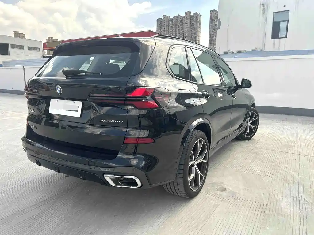 BMW X5 — миниатюра 13