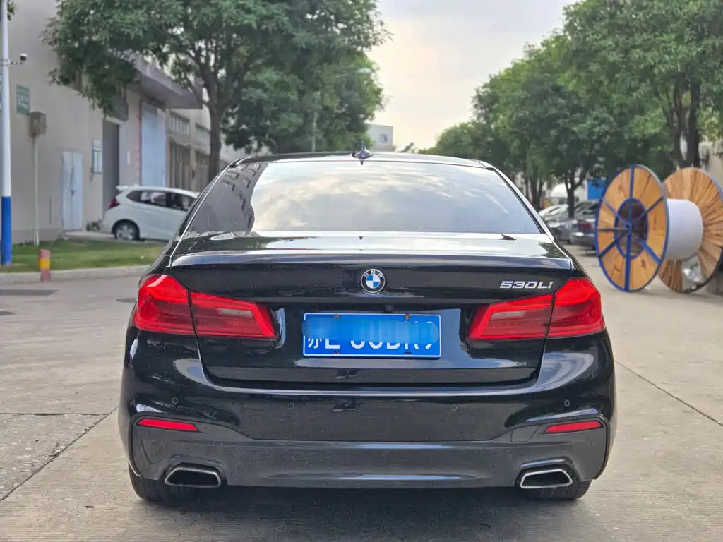 BMW 5 Series — миниатюра 4