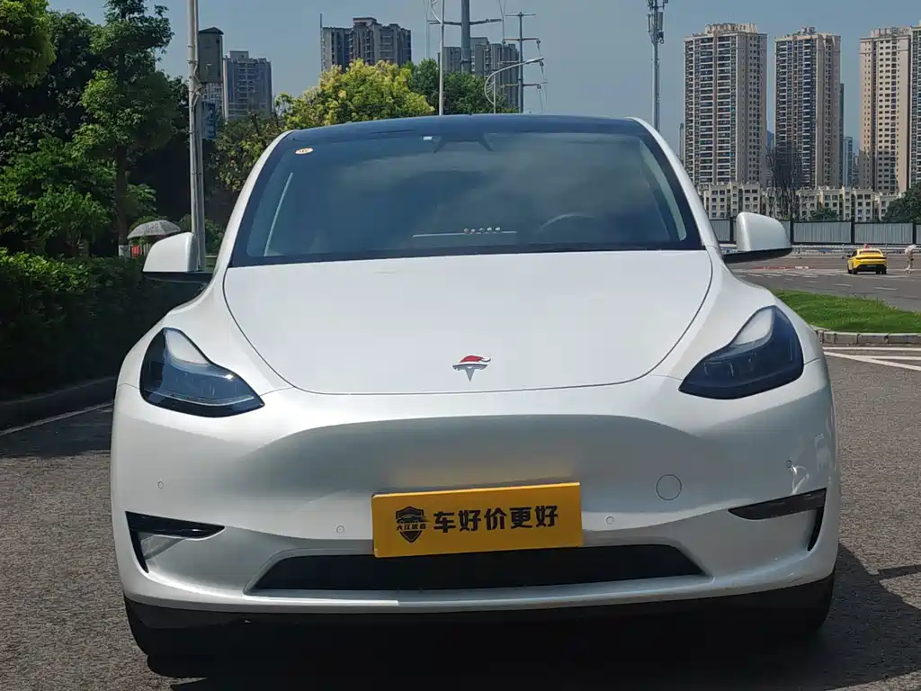 Tesla Model Y — миниатюра 4